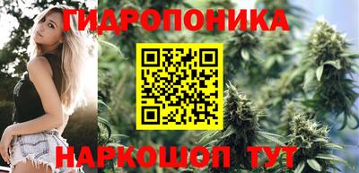 прущий лед Будённовск